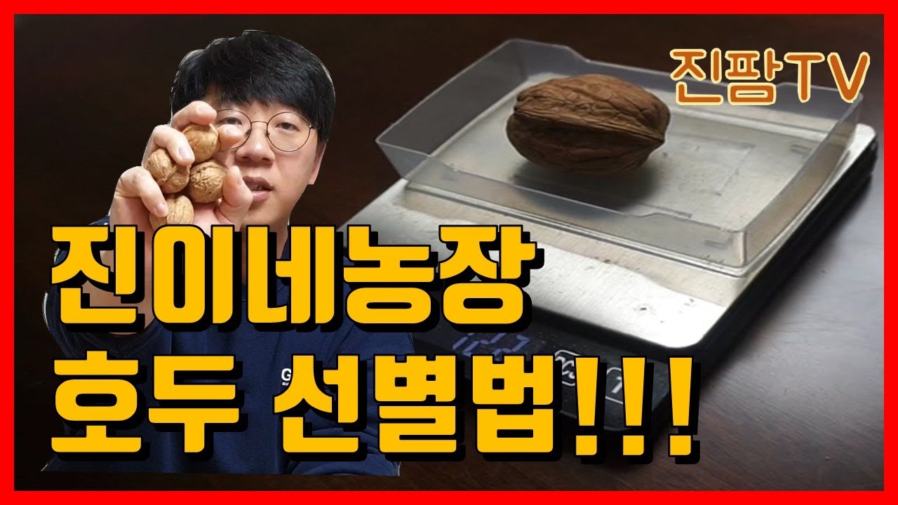 빈 호두 골라내는 방법(고객 클레임 줄이는 방법)