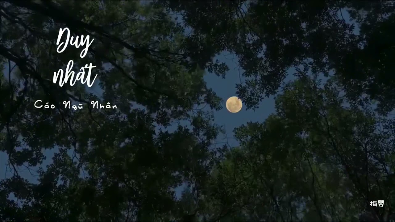 [Vietsub+Pinyin] Duy Nhất  - Cáo Ngũ Nhân |《唯一》告五人 | 𝑰 𝒓𝒆𝒂𝒍𝒍𝒚 𝒍𝒐𝒗𝒆 𝒚𝒐𝒖 💙