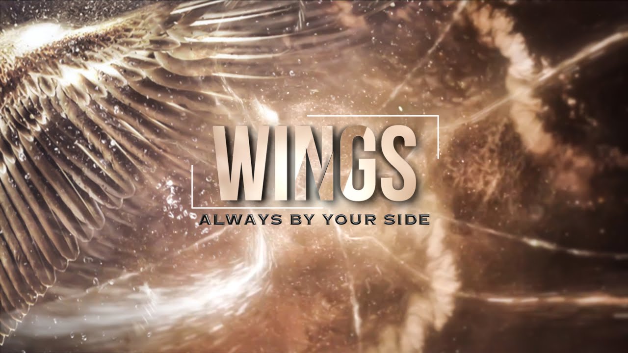 EXO 엑소 'Wings' Special Film【L-1485】Epic Aesthetic Edit//Happy EXOL Day! 7th Anniversary!