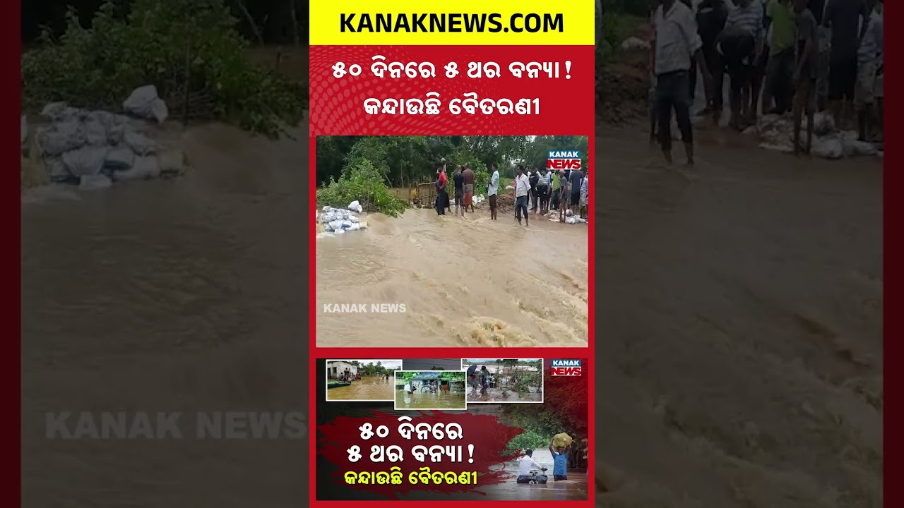 ୫୦ ଦିନରେ ୫ ବନ୍ୟା! | Special Report On Jajpur Flood | 5 Floods in 50 Days | Villagers Devastated