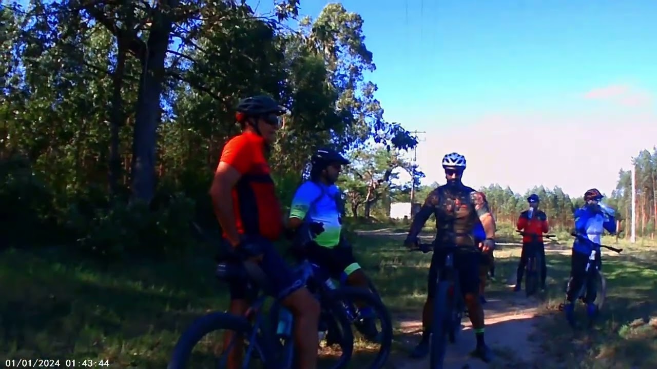 Eucaliptos com Pedala Aldeia