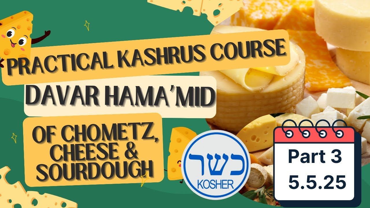 Practical Kashrus Course - Rabbinerseminar - 5.5.25 -  R Moshe Feinstein ztl - cottage cheese.