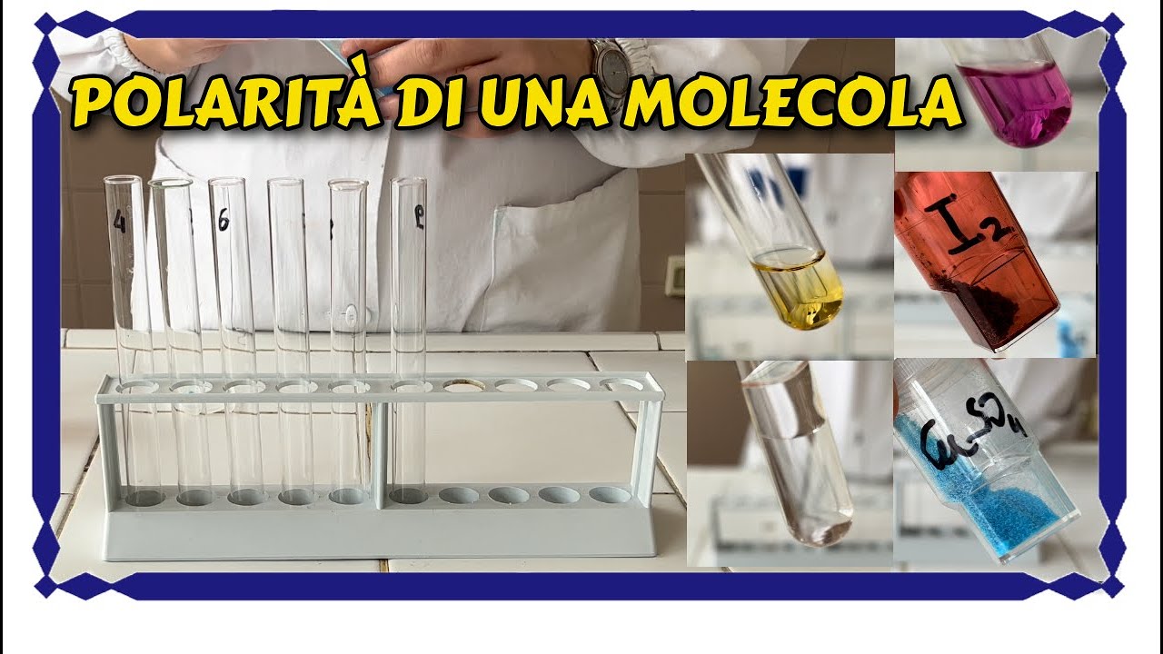 Polarit&agrave; di un composto chimico e influenza sulla solubilit&agrave; e miscibilit&agrave; - Laboratorio di chimica