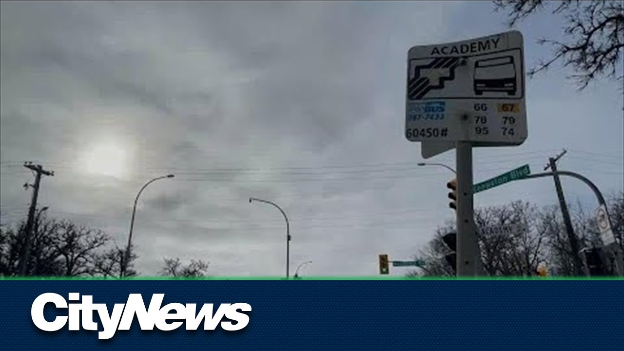 Attempt to pull woman in van from bus stop latest Winnipeg Transit incident