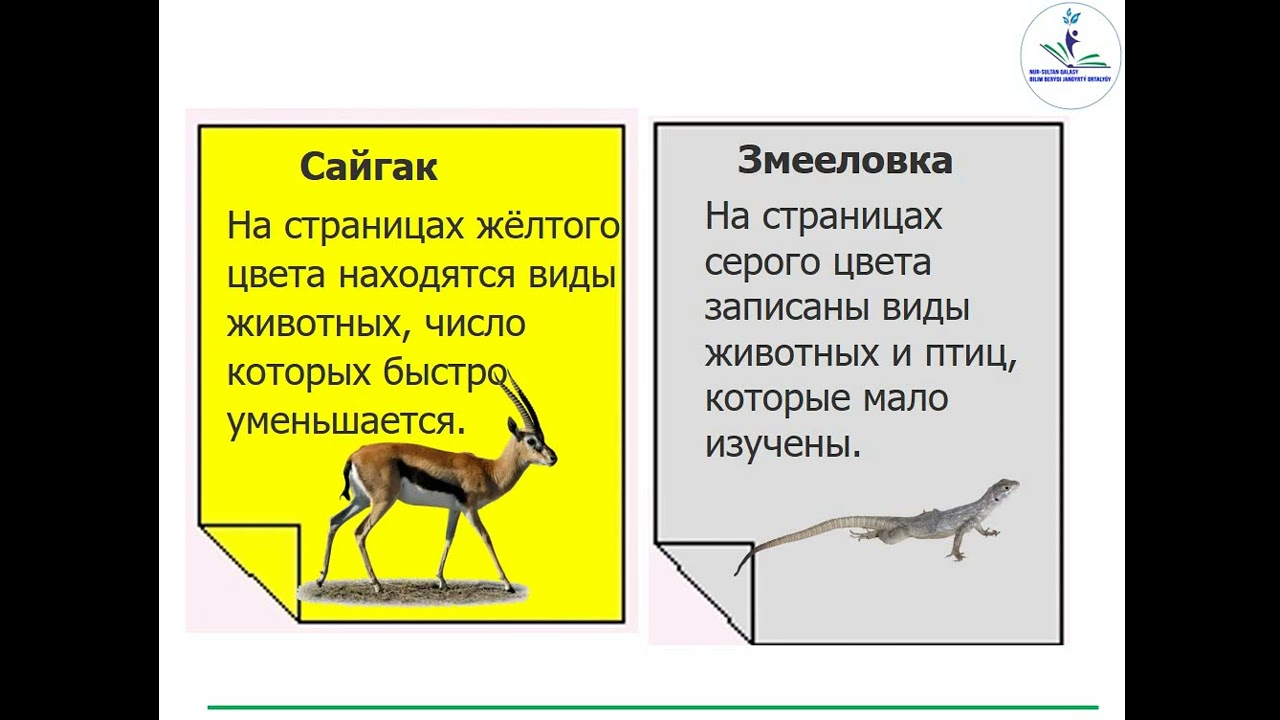 Русский язык и литература 4 класс. Тема урока: По страницам Красной книги