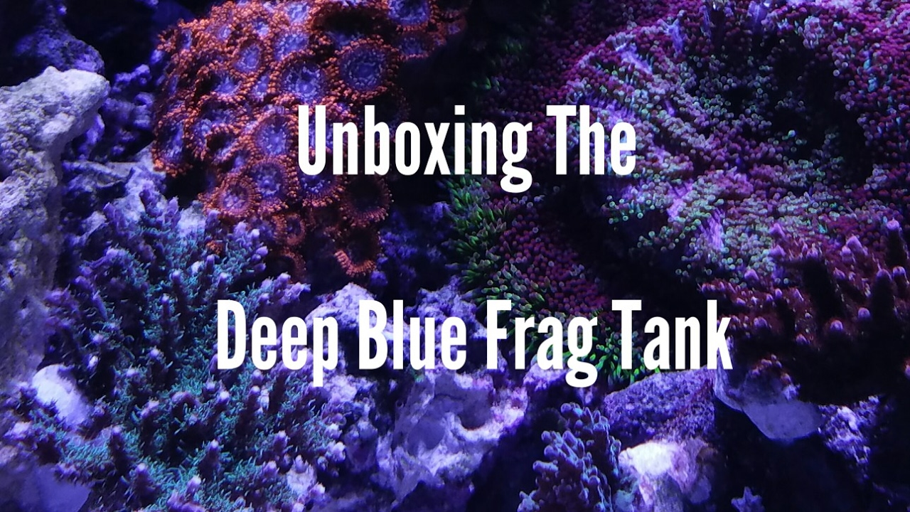 Deep Blue Frag Tank Unboxing! Whut imma do now?!?!?