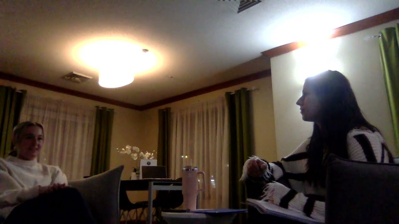 Counselor Client Video