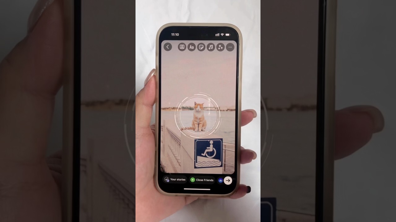 Instagram story idea with a cat 🐈 #instagramstory #storyideas #instagramtutorial