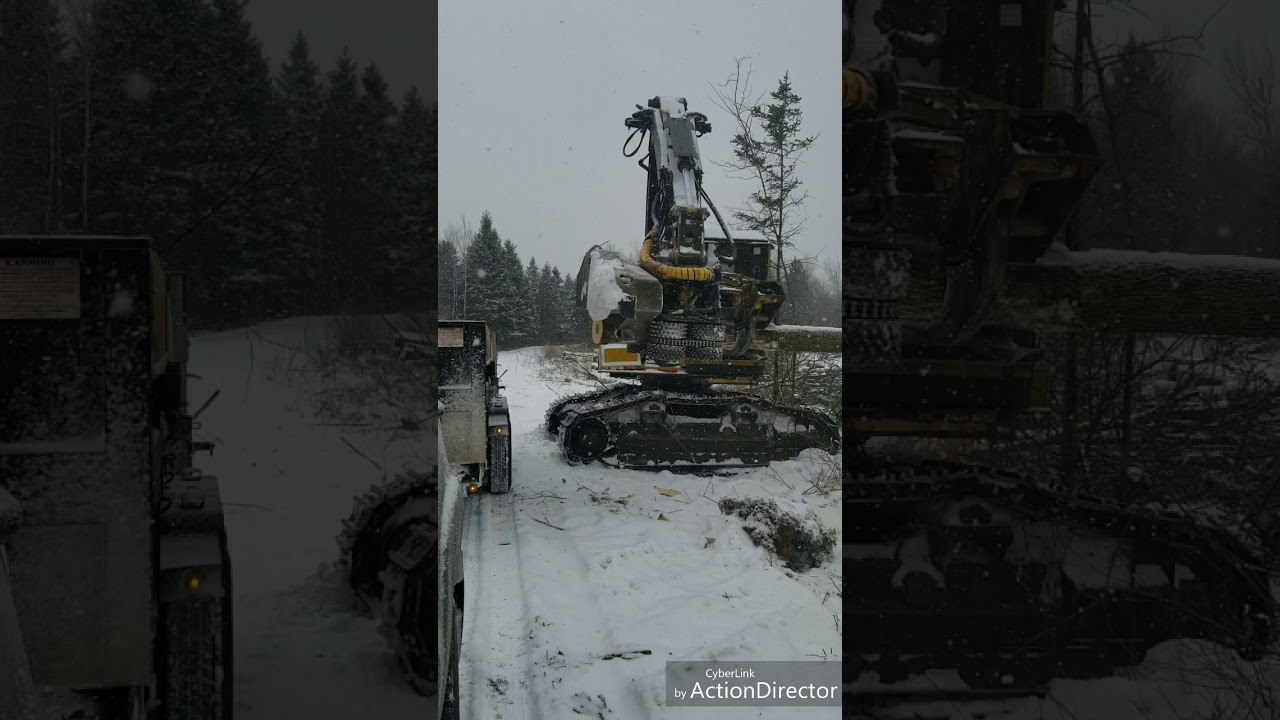 Cutting Firewood with the 153 Fabtek