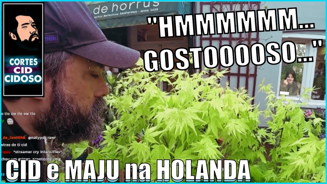 PERDI A MAJU E VIREI UM CHEIRADOR DE PLANTA - IRL CID E MAJU NA HOLANDA