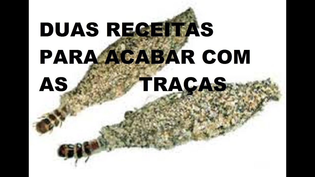 Como acabar com as Traças - Receita Natural
