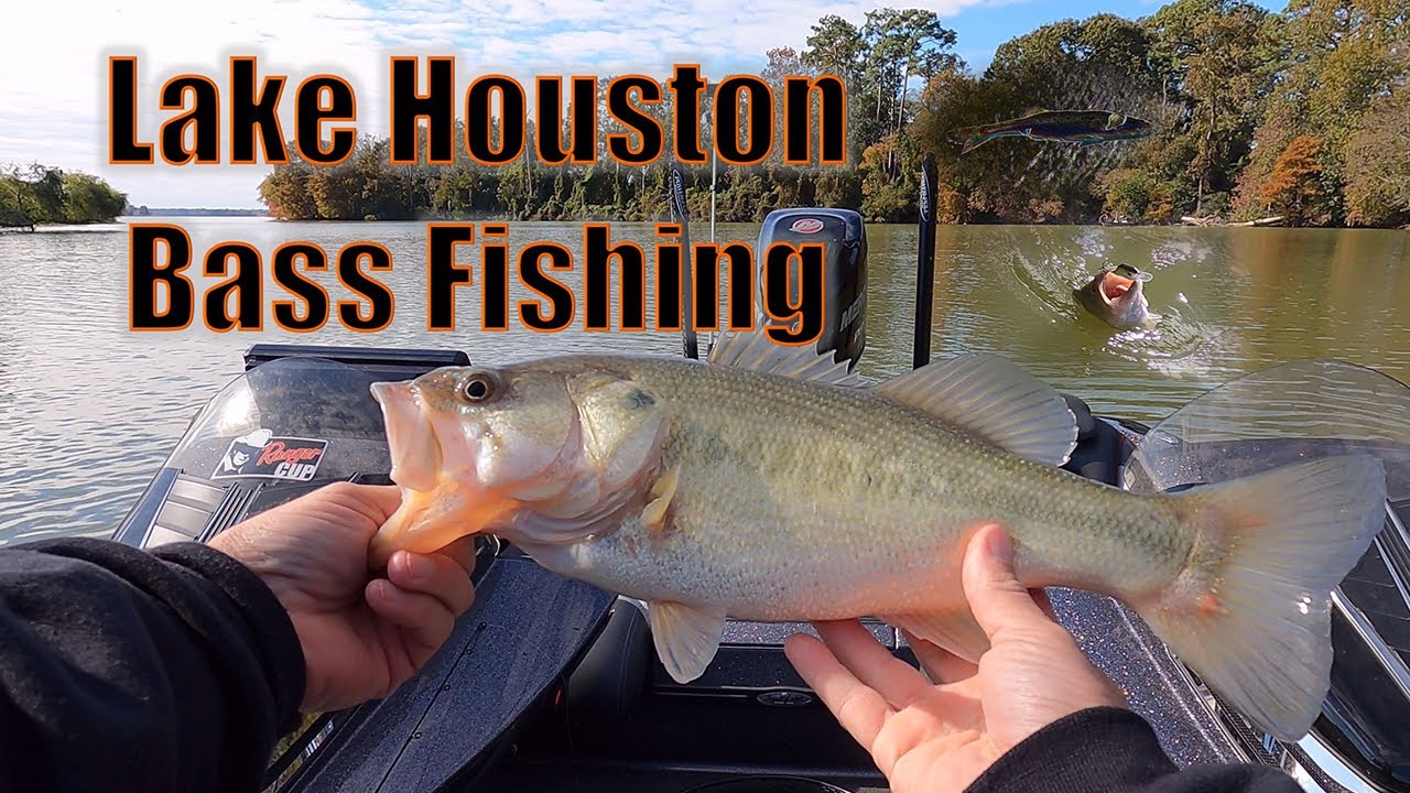 Lake Houston Bass Fishing
