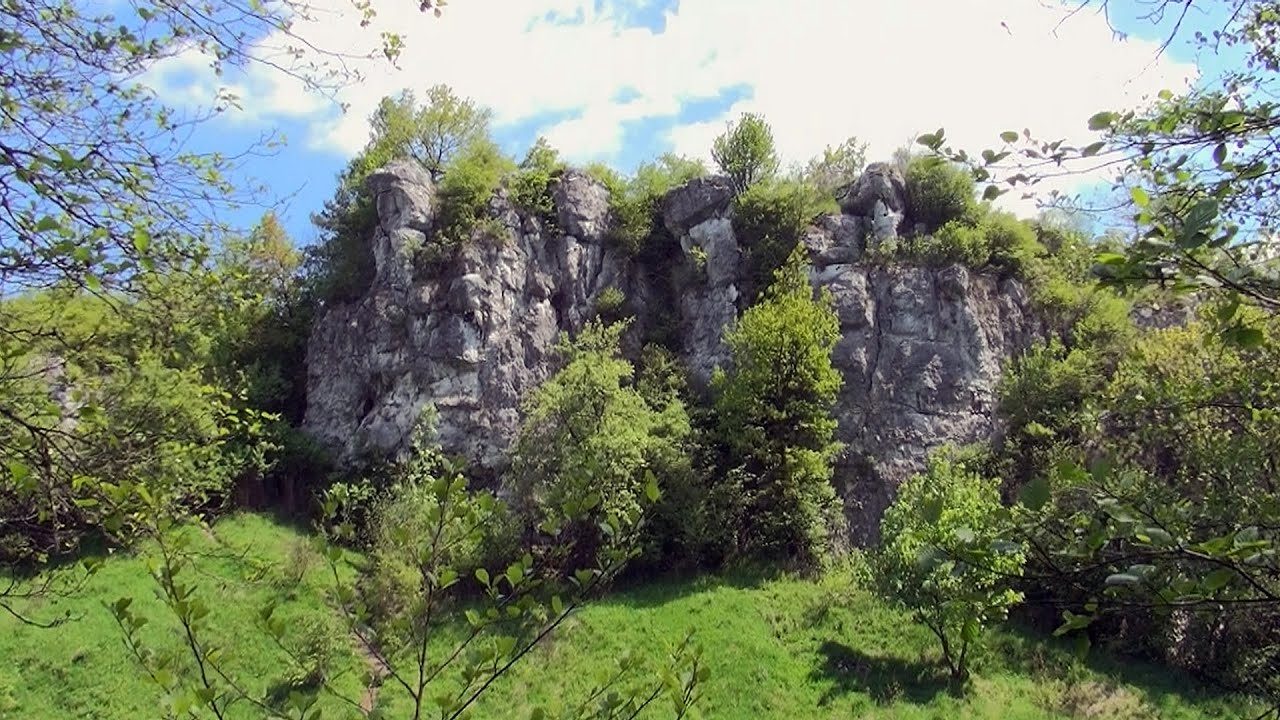 Dolina Kluczwody / Valley of Kluczwoda, Wierzchowie, Biały Kościół, Poland / Polska