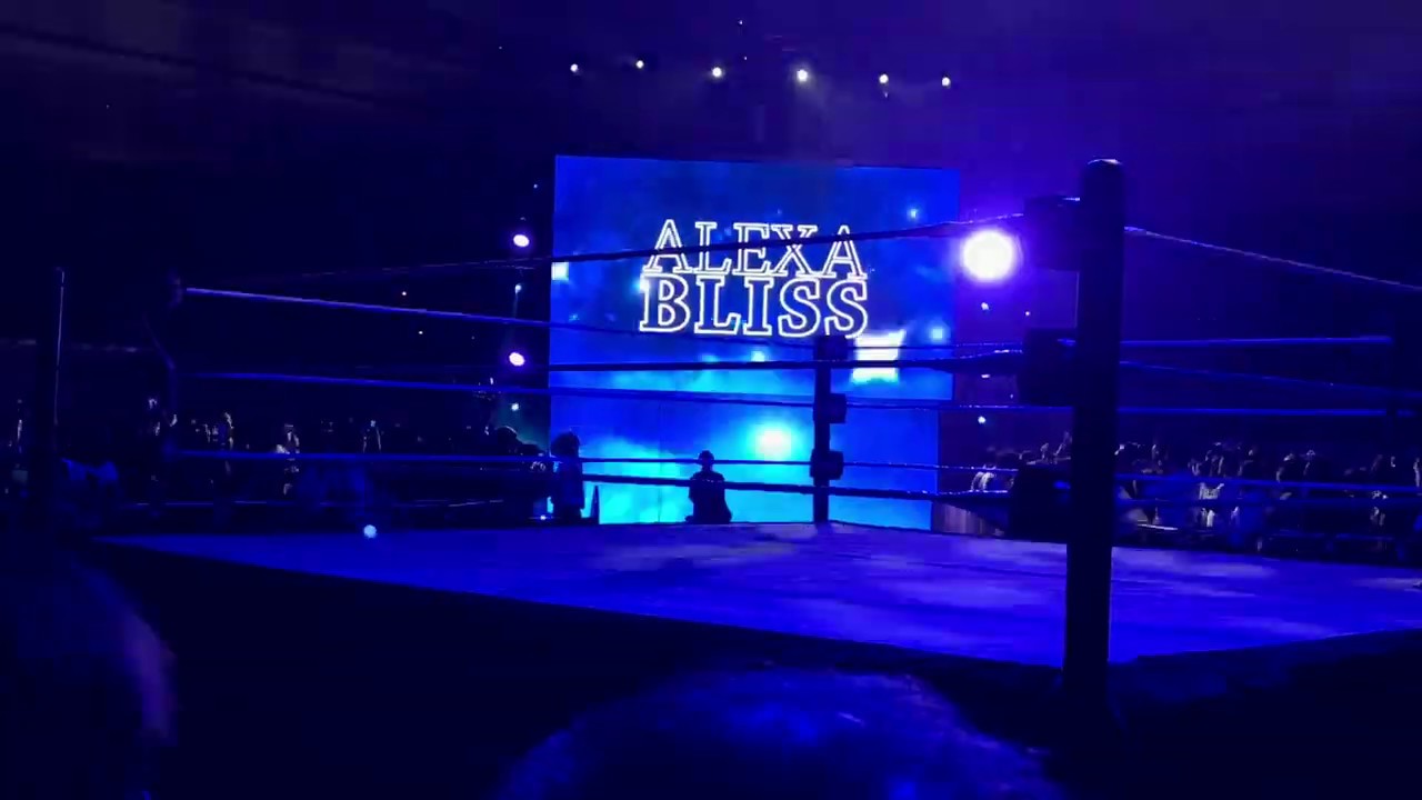 WWE Live Tokyo 2019 / June 28 / Becky Lynch vs. Alexa Bliss Women's Champions