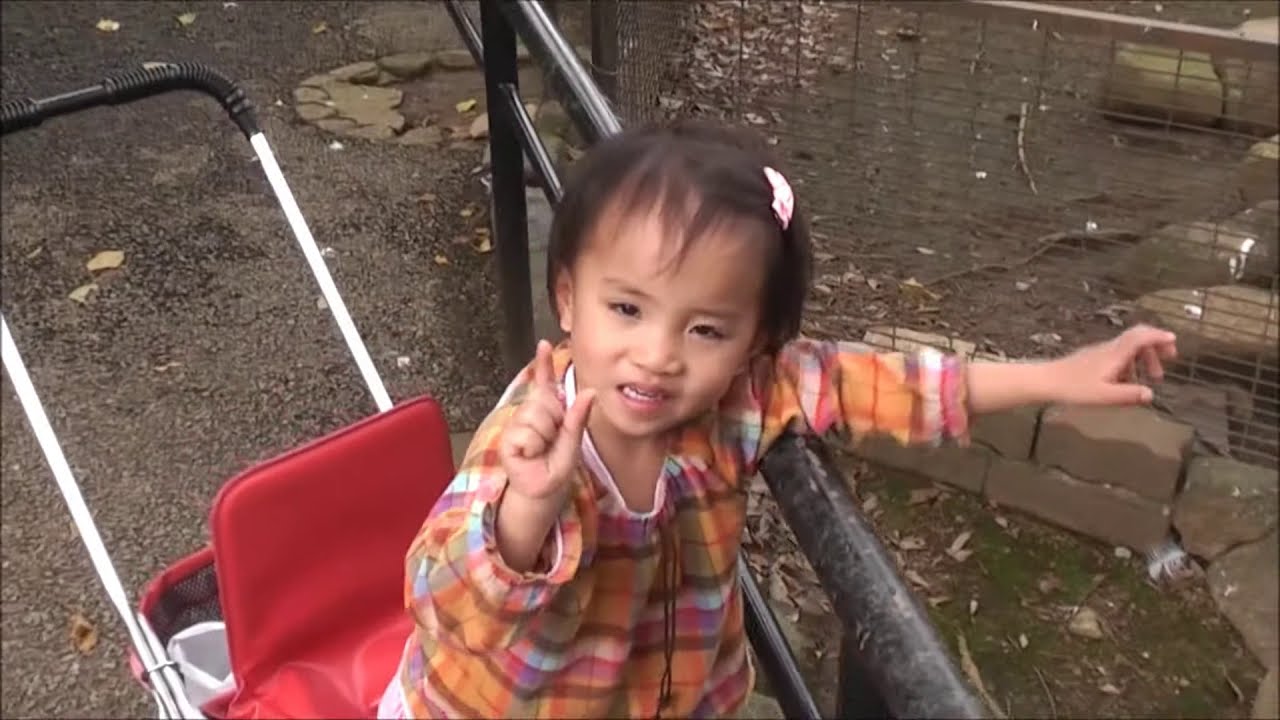 ichikawa zoo／市川市動植物園 ２