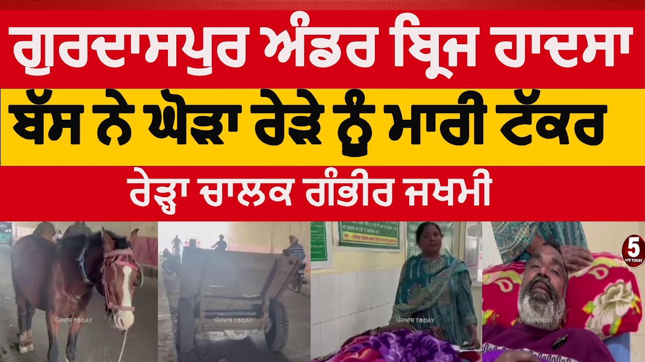 gurdaspur under bridge accident | gurdaspur bus hit to horse cart | gurdaspur accident horse cart |