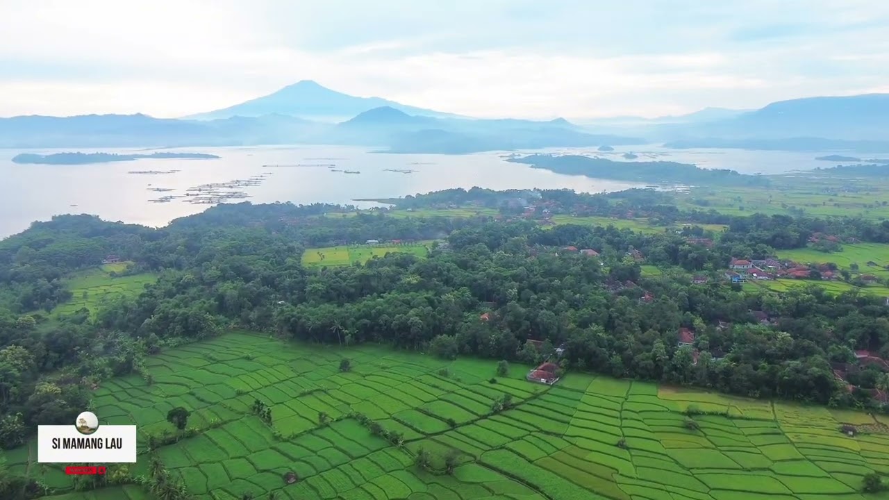 SULING MERDU BIKIN BETAH ,ENAK UNTUK SANTAI 🔥🔥