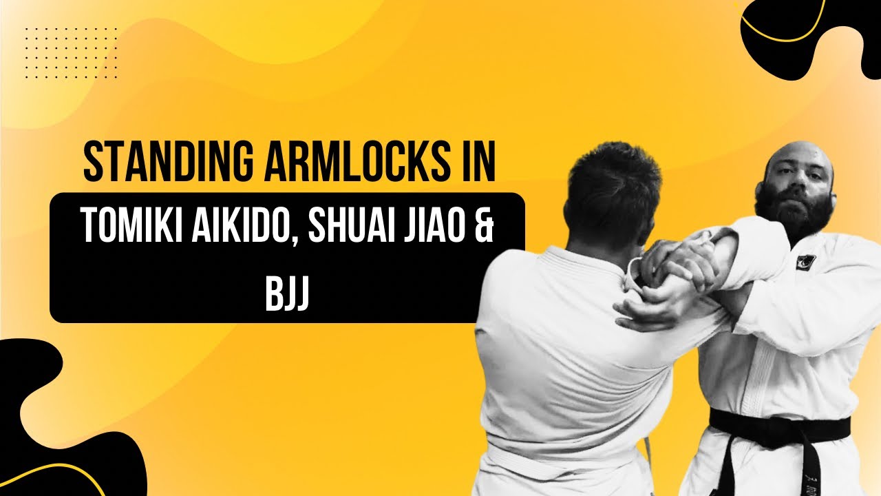How to do Standing Arm Locks - Straight & Americana - BJJ, Tomiki Aikido & Shuai Jiao