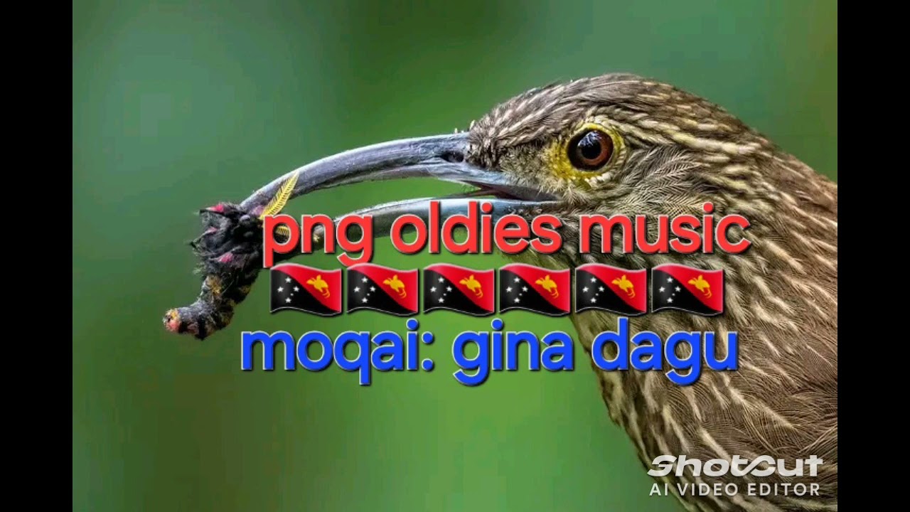 Moqai:  Gina dagu oldiest hits png local music