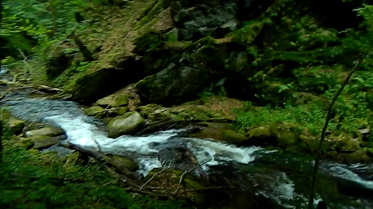 Izvoarele Nerei old-growth forest, Semenic Mountains National Park