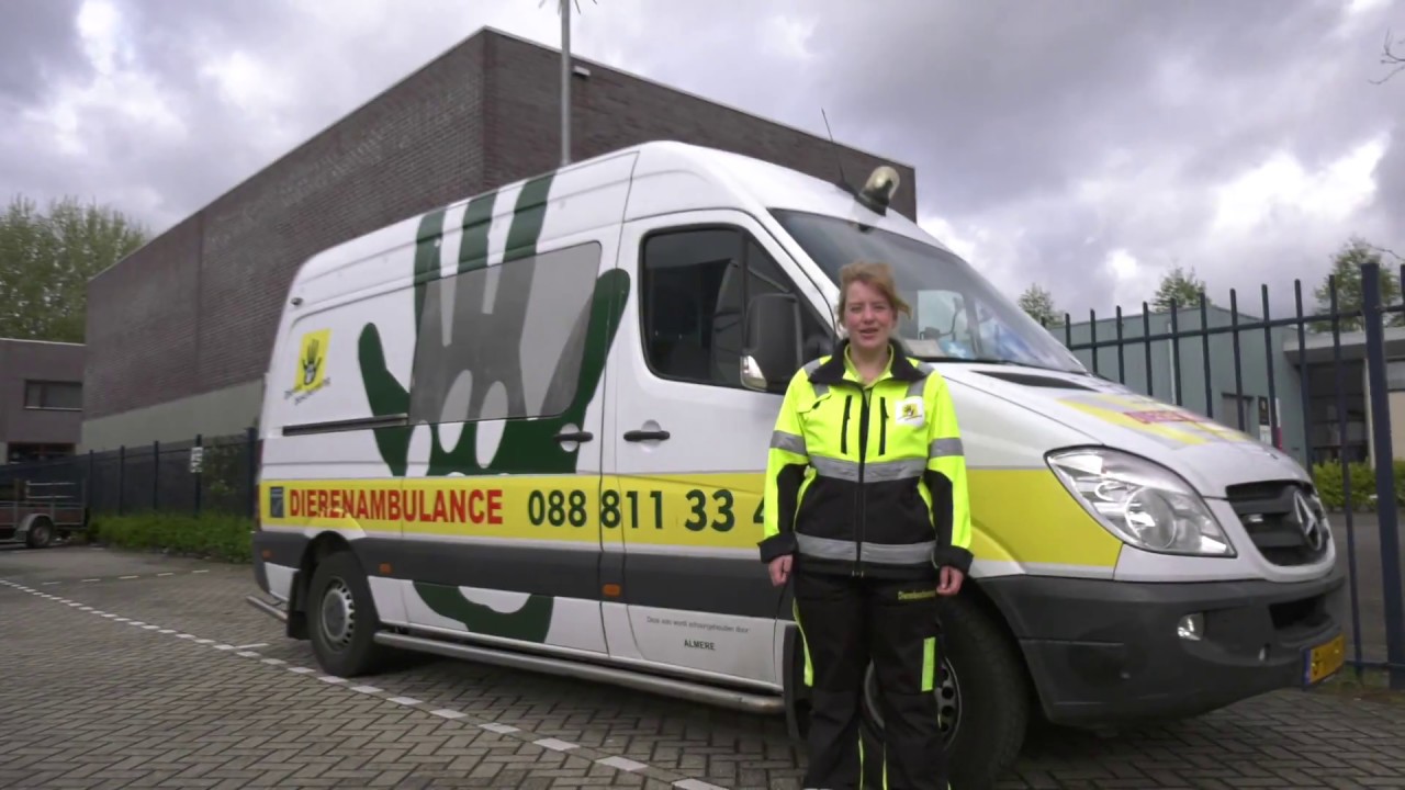 Reportage: Mee met de dierenambulance - Deel 1