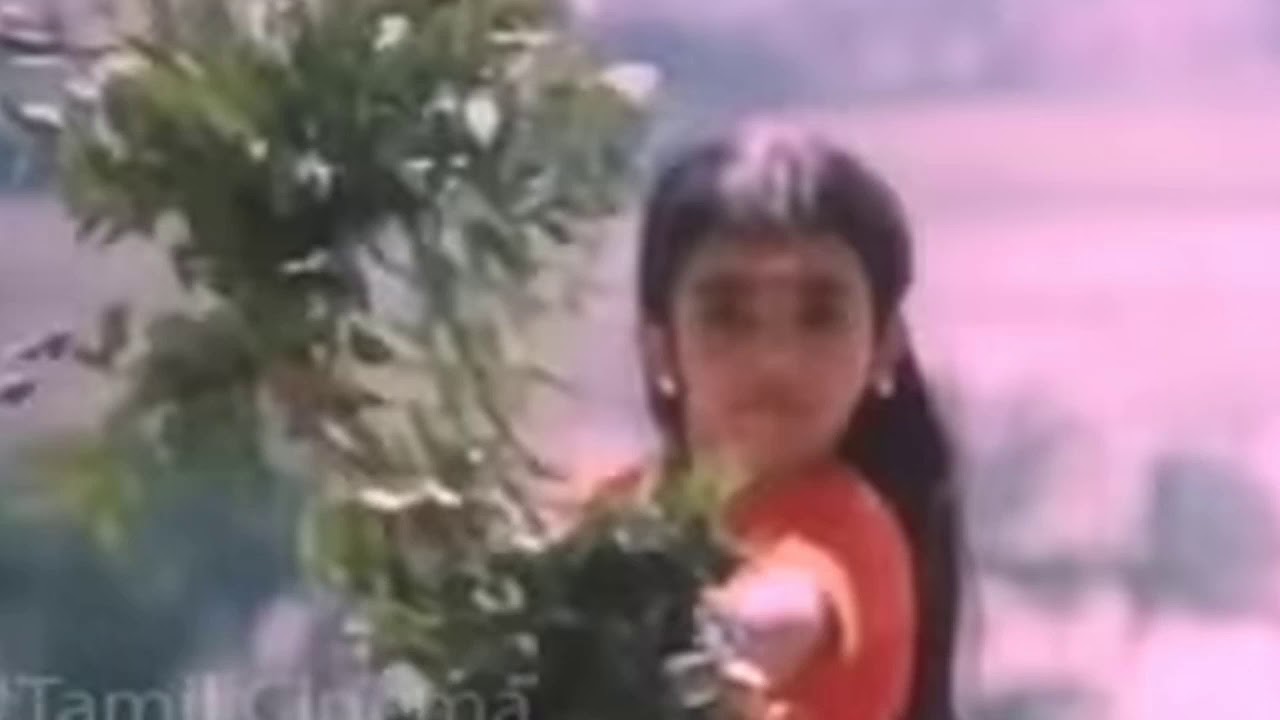 AADI VELLI : Aaye Mahamaayie. Song