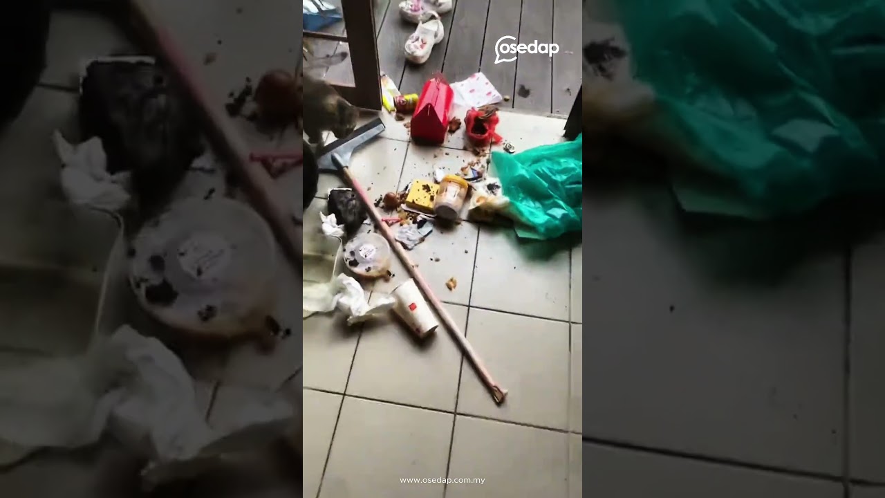AZHAR SULAIMAN 'PENING KEPALA' RUMAH DIMASUKI MONYET HABIS BERTERABUR RUMAH
