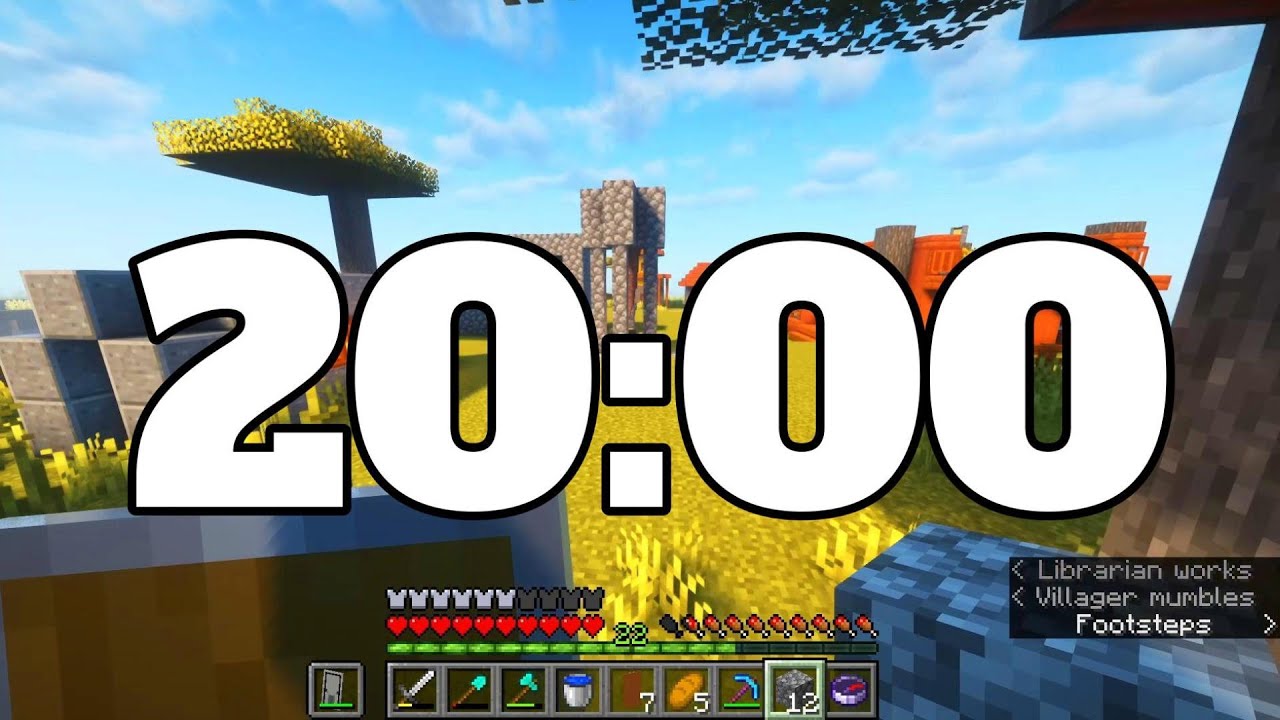 20 MIN MINECRAFT TIMER