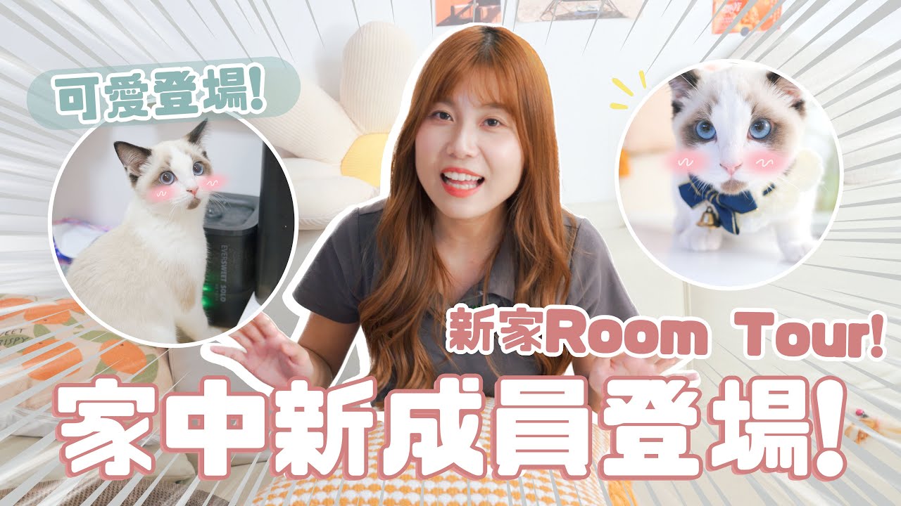 【貓ME生活🐱】家中新成員登場😍🔥新手貓奴的家⁉️