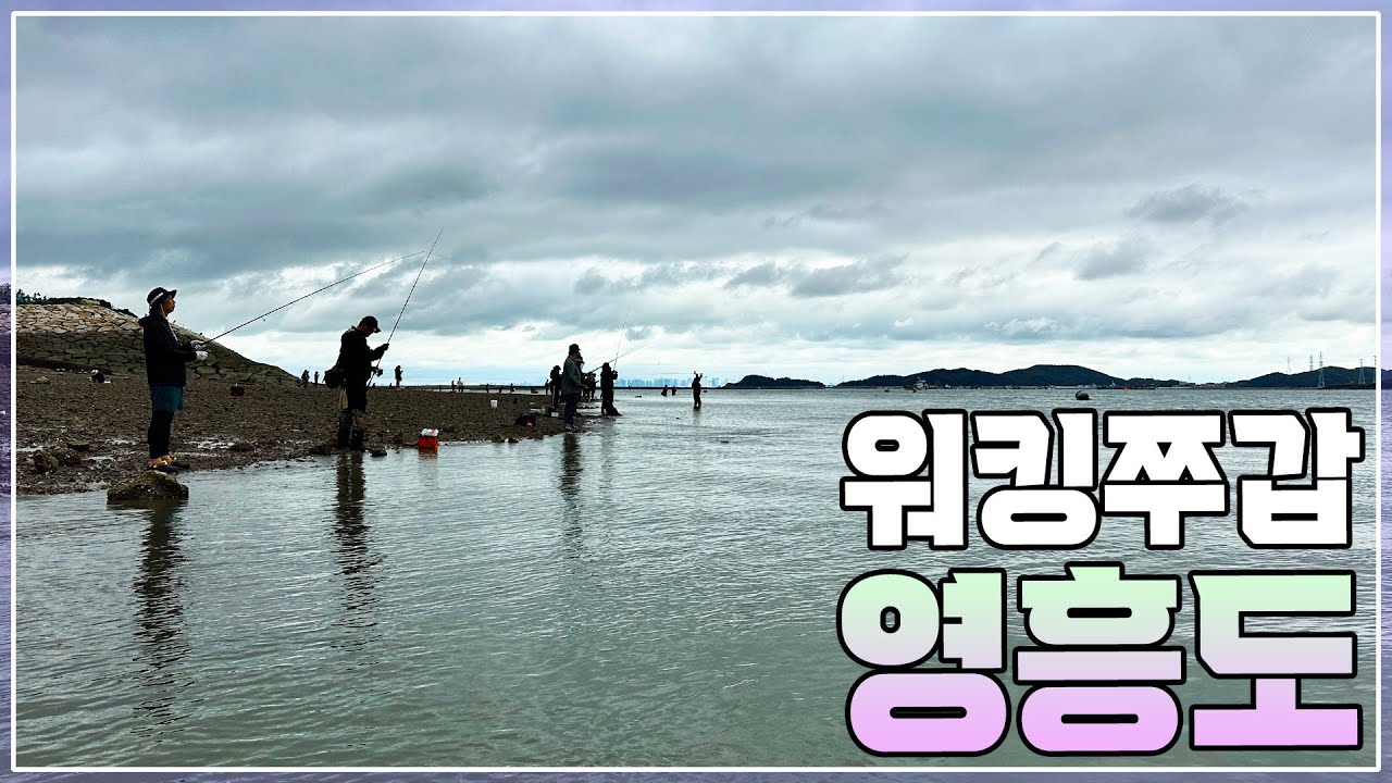 영흥도 워킹 쭈갑 낚시ㅣ영흥도ㅣ진두선착장ㅣ5물ㅣ🎣🏝Fishing in Yeongheungdo