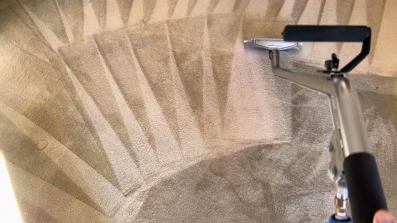 One room with carpet getting a good cleaning in New Bedford Massachusetts.