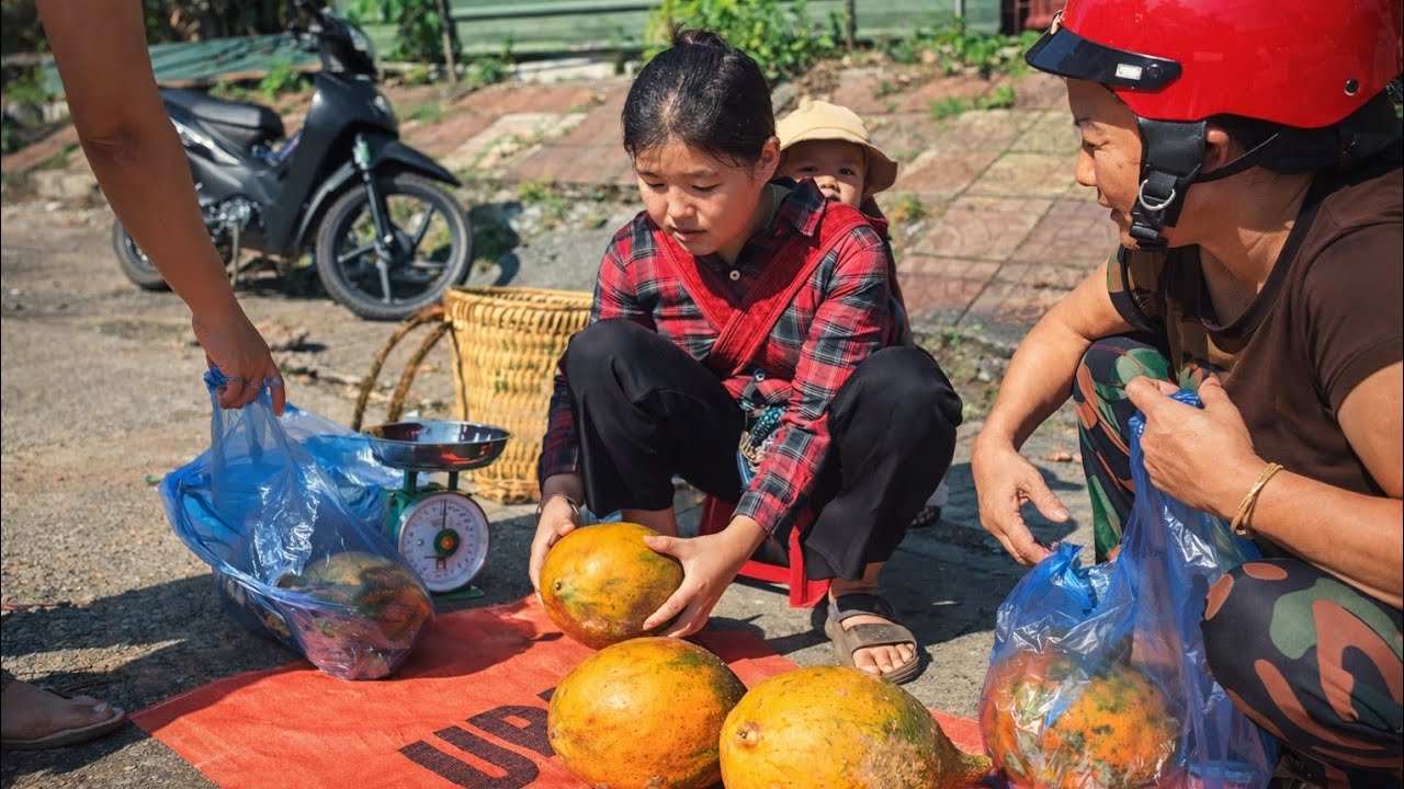 Can You Make a Living from Picking Gac Fruit? | Ly Tieu Dua Village Life