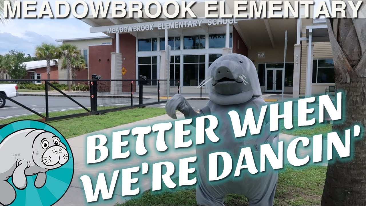 Teachers End of Year Dance Video 2018 - Meadowbrook Elementary