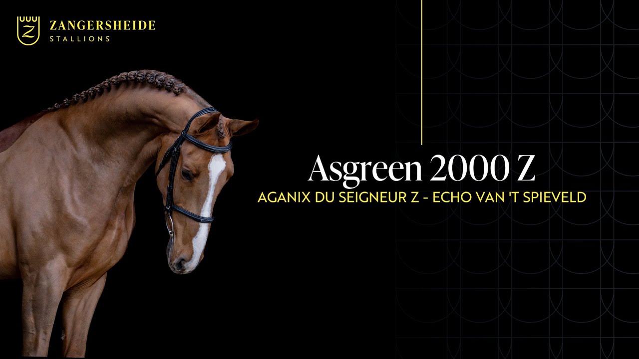 Asgreen 2000 Z - Stallion Presentation 2025 ENG