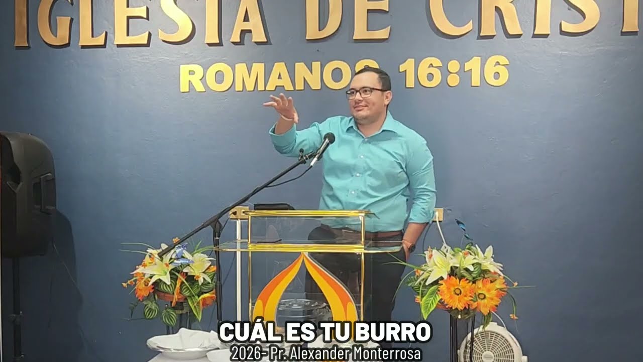 CUÁL ES TU BURRO