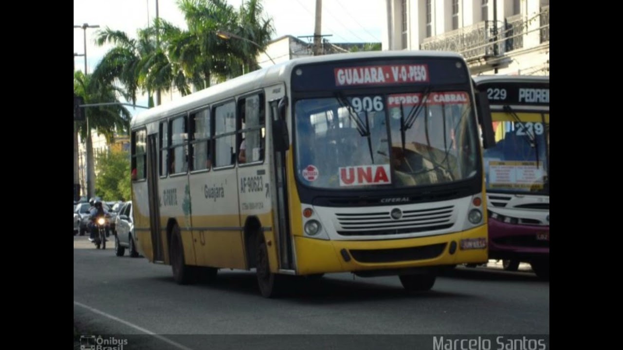 Onibus de belém