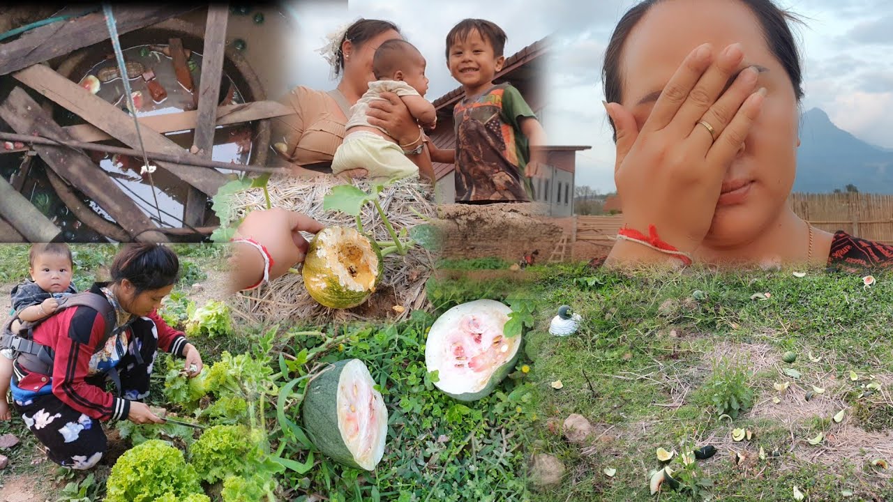 Chim2 siab li o yu nim khwv2 ua lo tub sab tuaj nyiag Dib tag li e twb g tau ib lub zoo noj li o