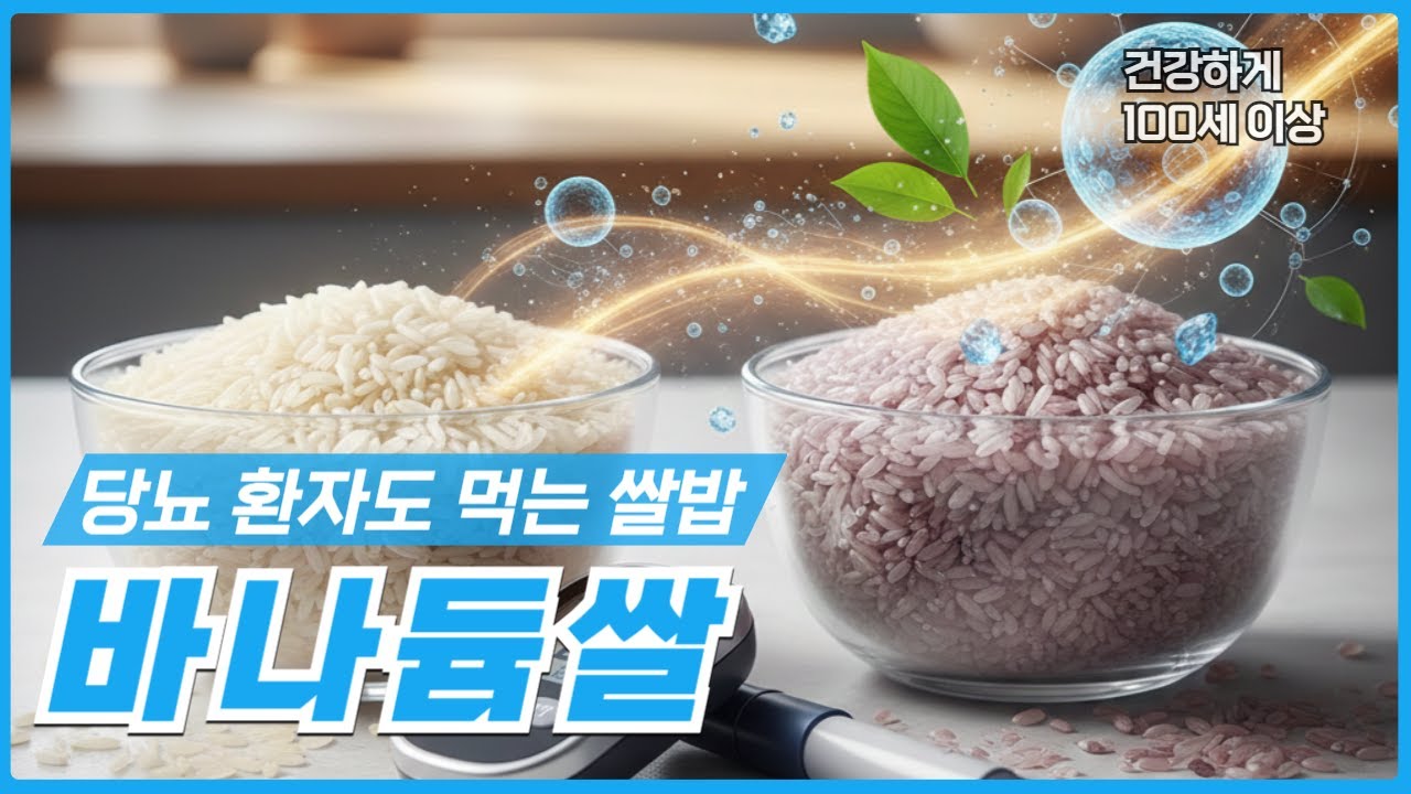 밥 인데 혈당 뚝? '바나듐쌀' 몸속 염증과 혈당이 사라지는 놀라운 변화