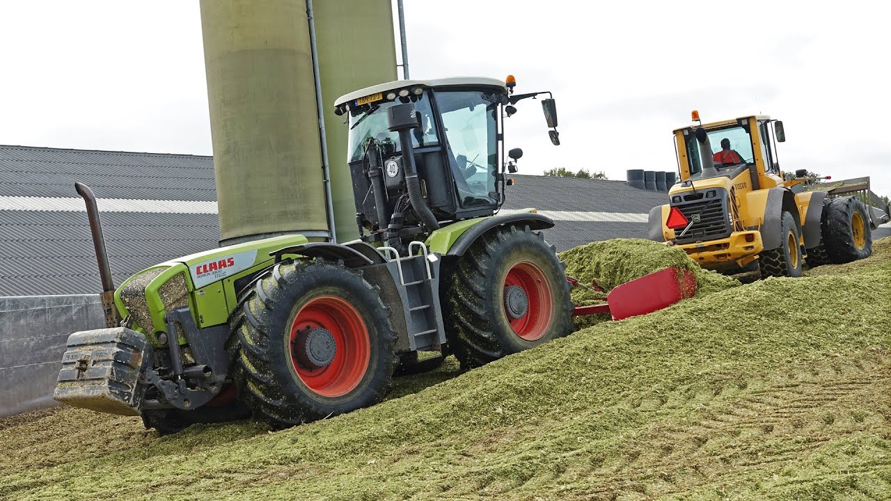 Mais Silage | Claas Xerion 3300 + Volvo | De Heus + Blankespoor + Ploeg | 2021