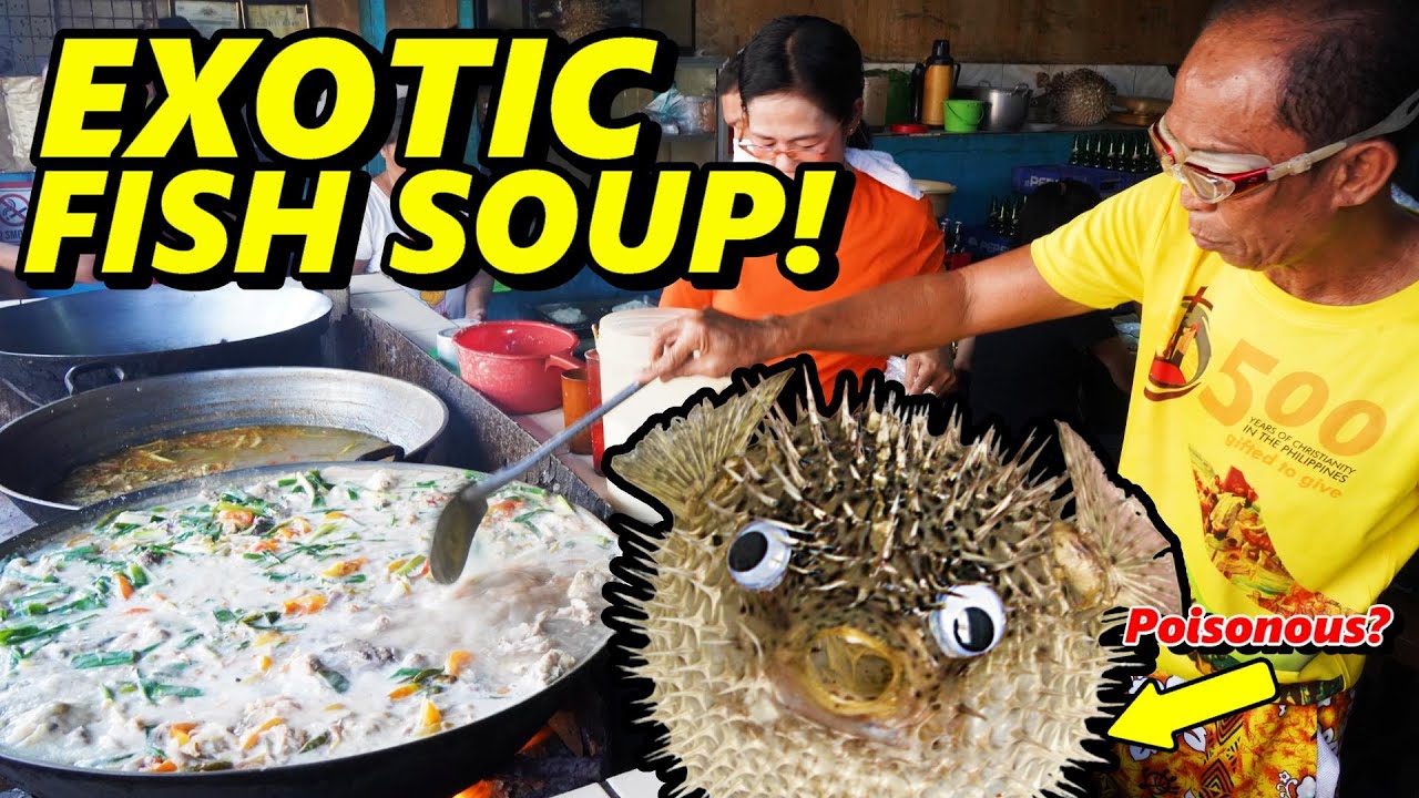 Linarang: Extreme Porcupine Fish in Cebu! Is it really Poisonous?