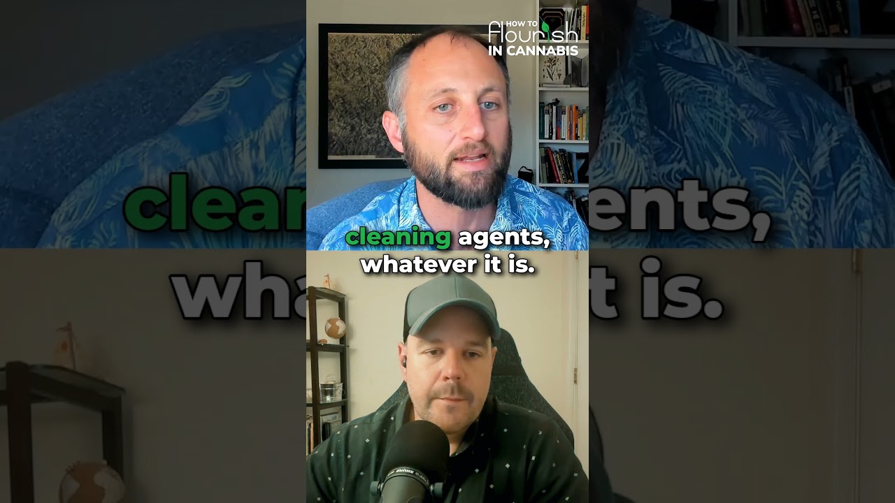 How Cannabis Farms Stay Clean and Safe