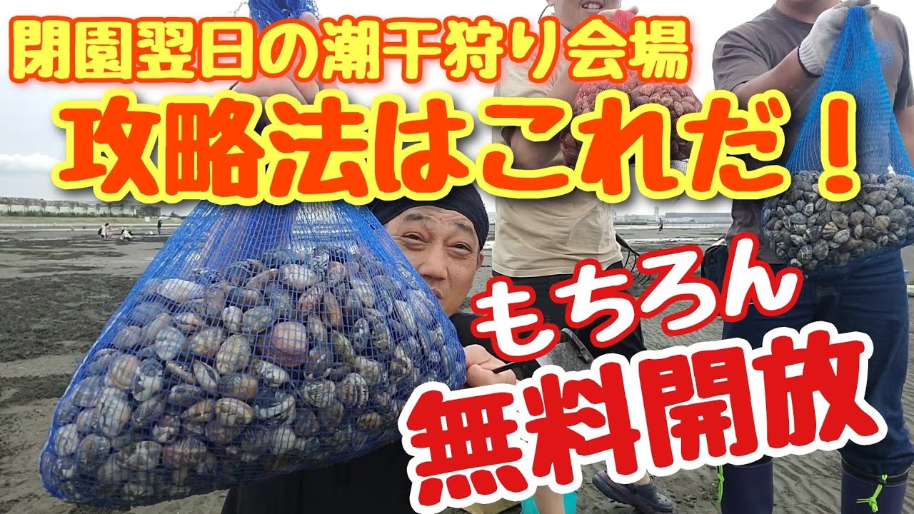 閉園翌日の無料開放された潮干狩り会場へ行ってきました【船橋三番瀬潮海浜公園】