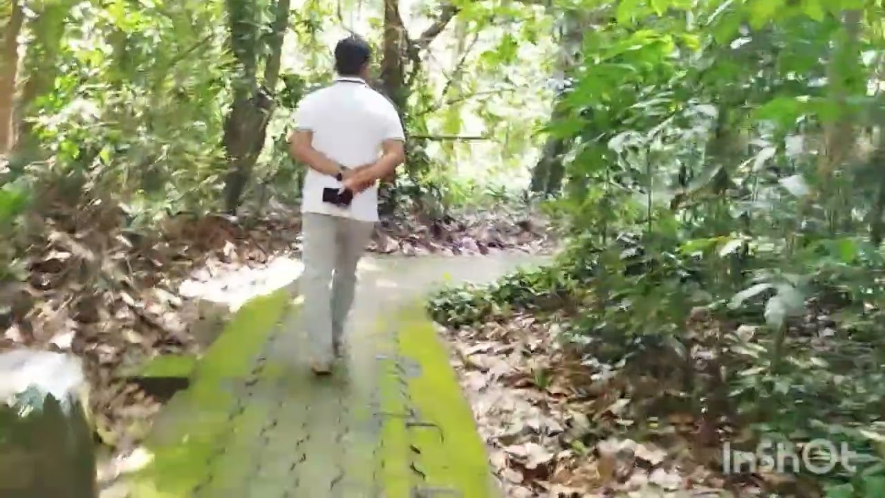 Galduwa Aranya Senasanaya - Ambalangoda #youtubevideo #aranya