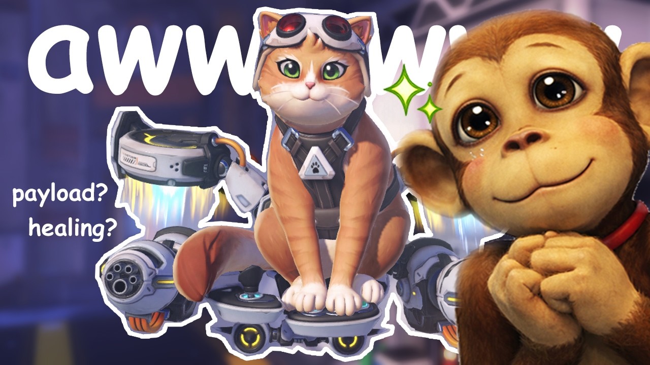 you're such a distracted jetpack cat (overwatch pov)