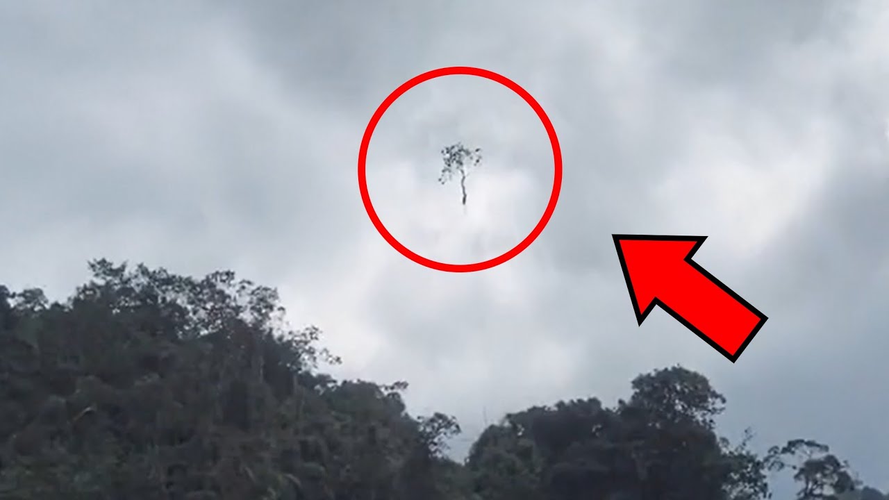 6 Fenómenos INEXPLICABLES captados en Cámara (Parte 25)