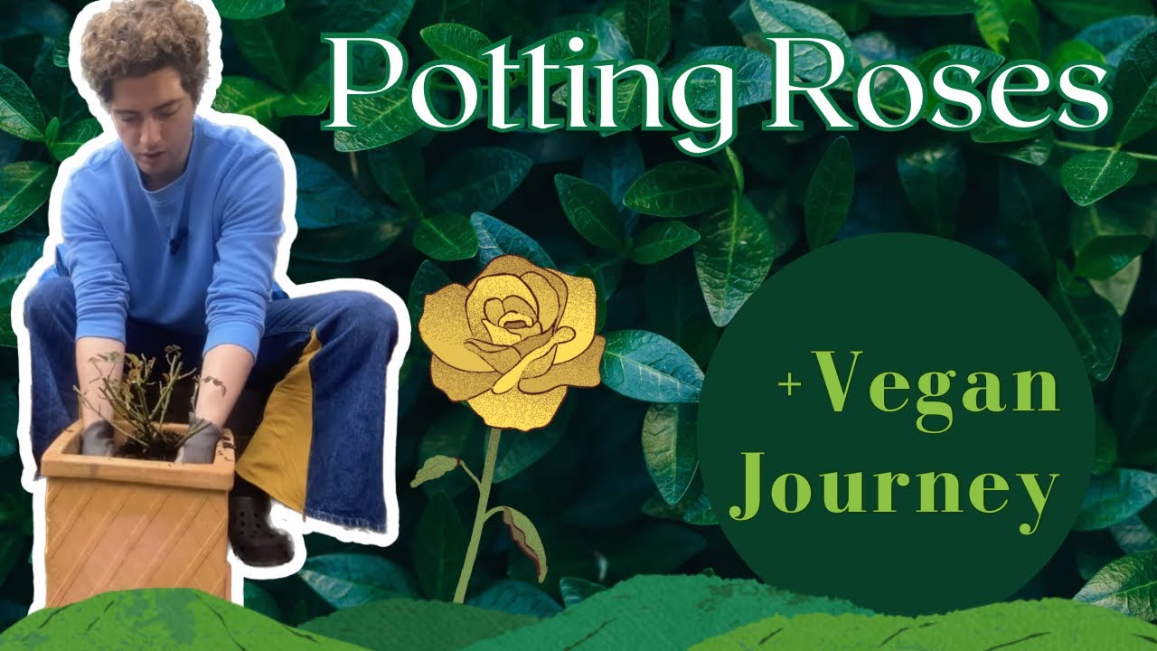 Potting Roses & Going Vegan: My Inspiring Lifestyle Shift