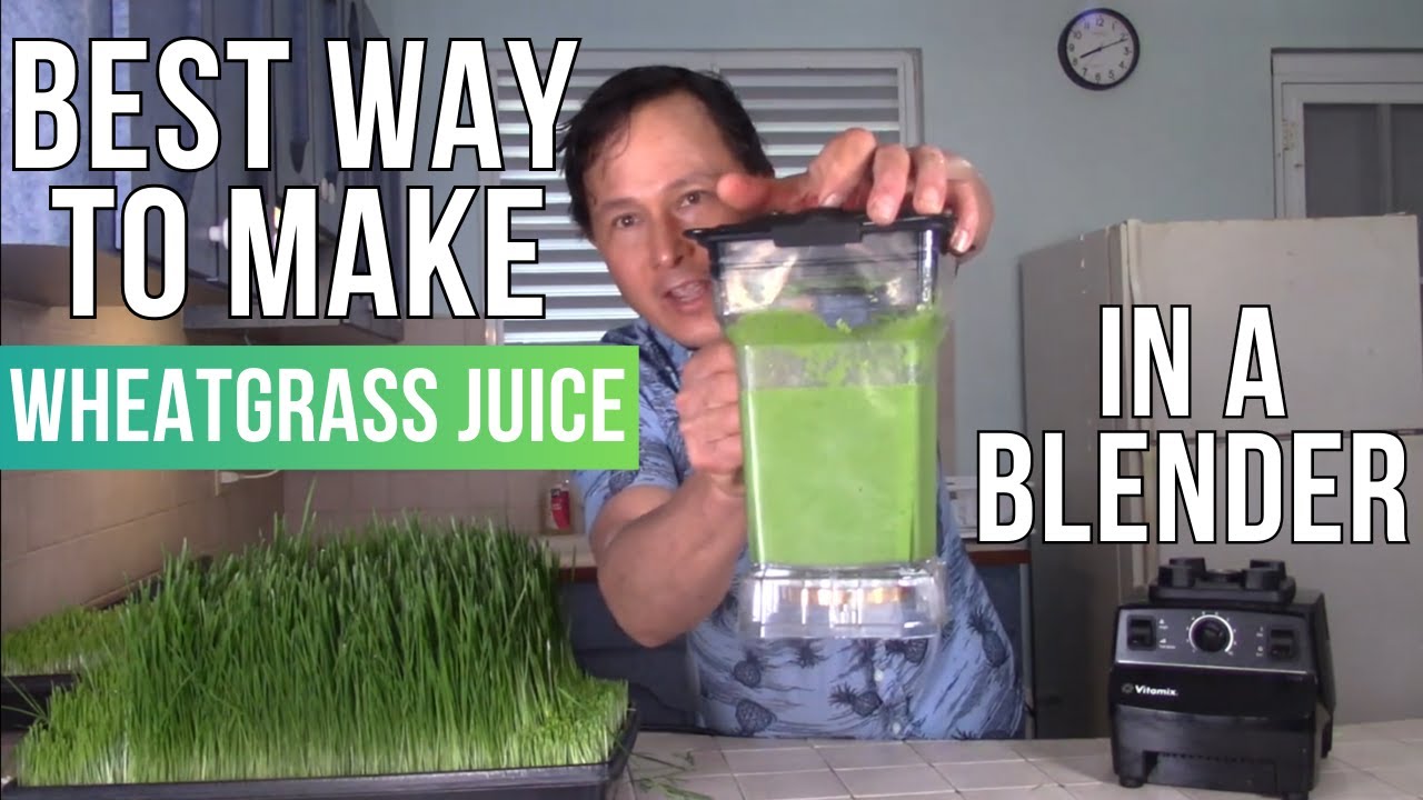 How to Extract the Maximum Juice & Nutrition from Wheatgrass in a Blender