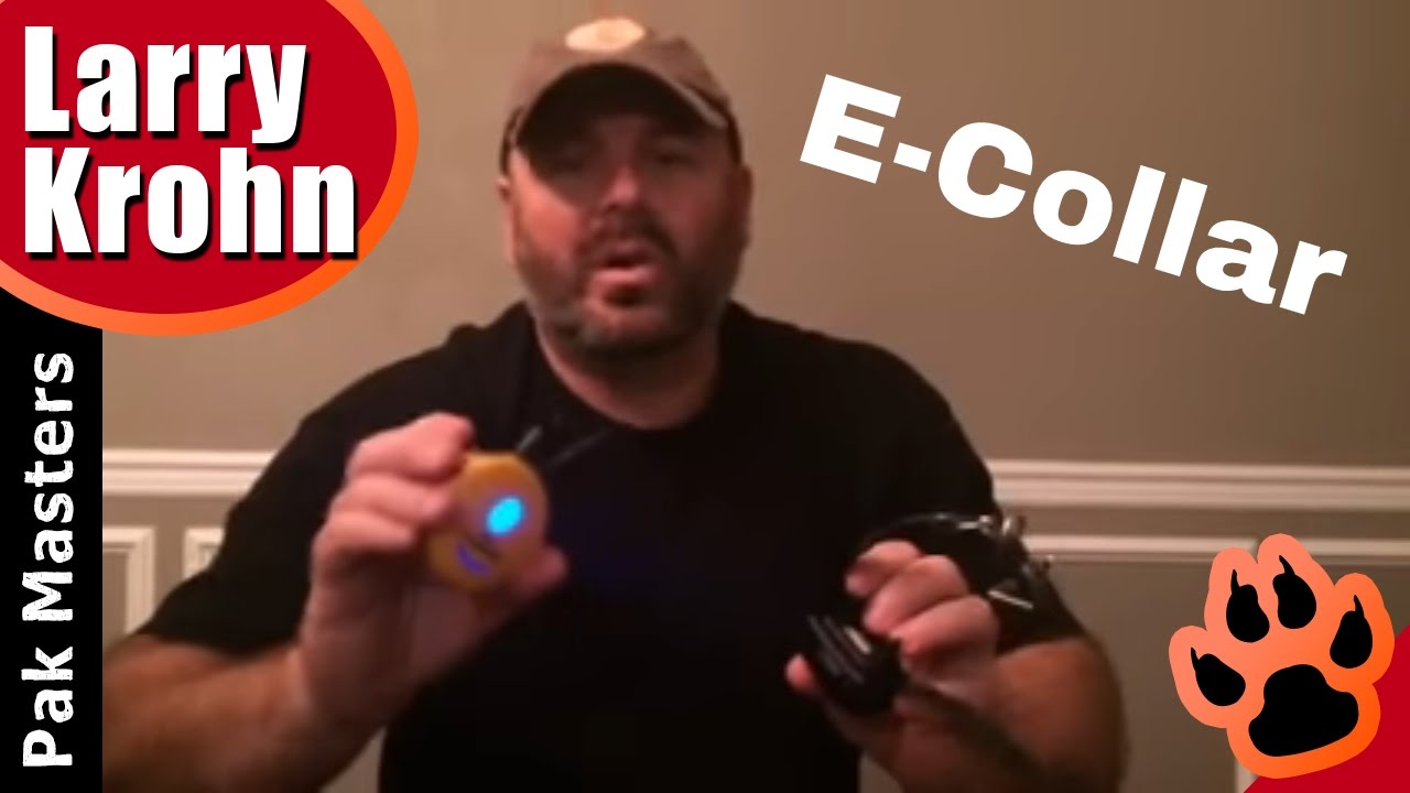 HOW TO Set Up the E collar / Remote Collar Instructions for my clients / E-Collar