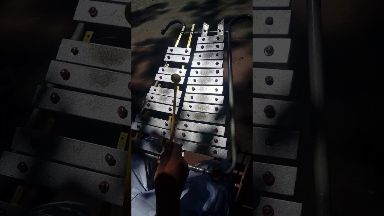 Adios Al Septimo De Linea-Lira