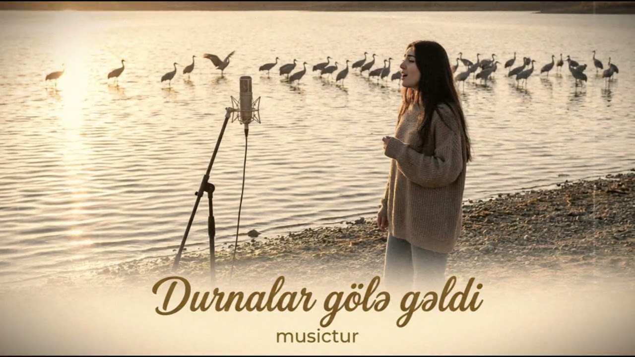Niyaməddin Musayev  - Durnalar Gölə Gəldi (ai-remix2026 yeni version)